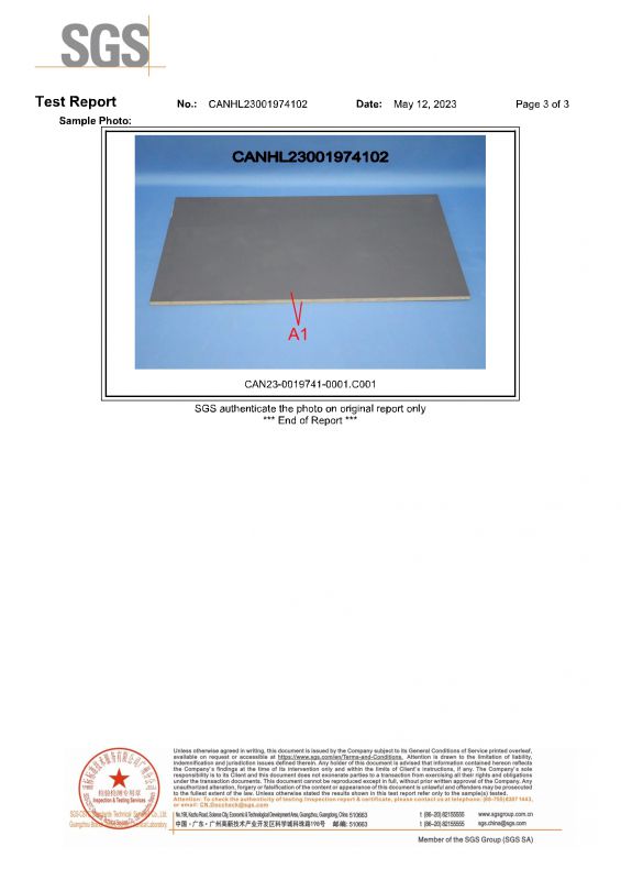 2023SGSPP电子游戏家居检测汇报英文版